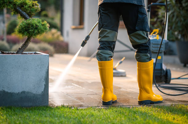 Best Exterior Home Cleaning  in Enterprise, NV